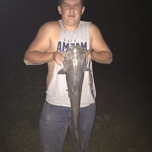 Meet your Posher, Gavin